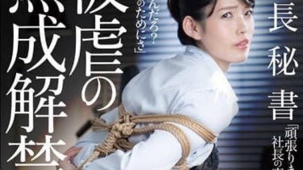 JBD-292 社长秘书被虐的成熟解禁-生田望美